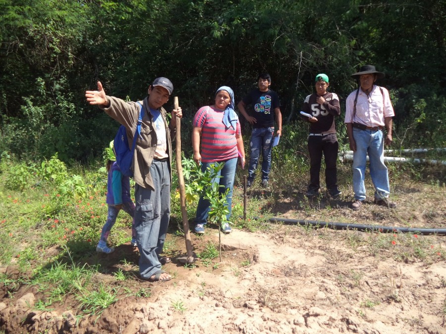 Curso de Sistema de Riego  por Goteo  en Machareti