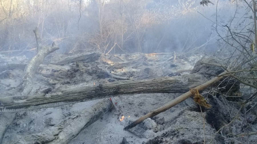 Incendios azotan a comunidades del Municipio de Machareti