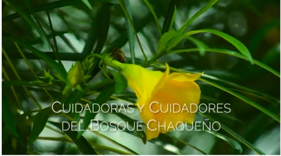 Estreno del Documental: Cuidadoras y cuidadores del Bosque Chaqueño