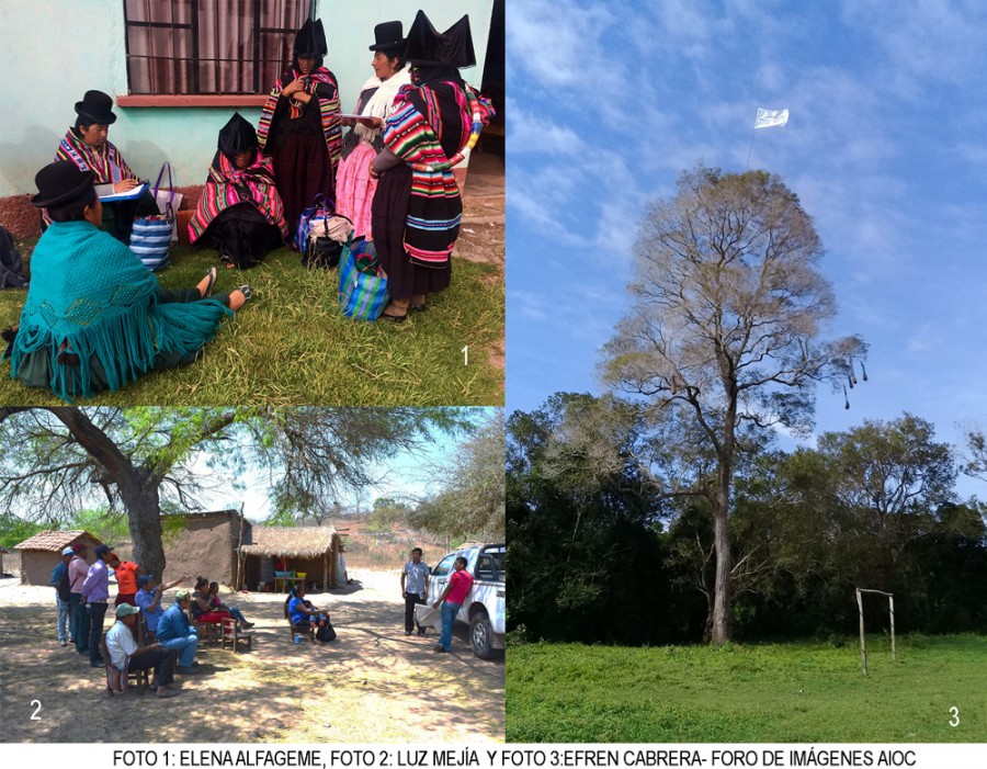 Concluye el curso virtual de Autonomías indígenas en Bolivia: perspectivas críticas y alternativas
