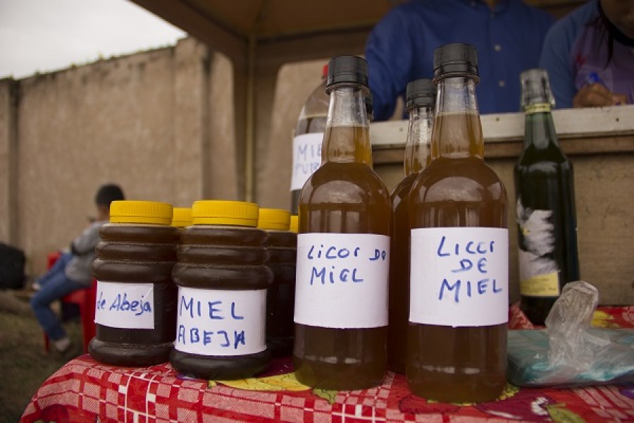 Concejo Municipal de Macharetí socializa ley de declaración “Municipio productor de carne ecológica y miel ecológica libre de transgénicos” 